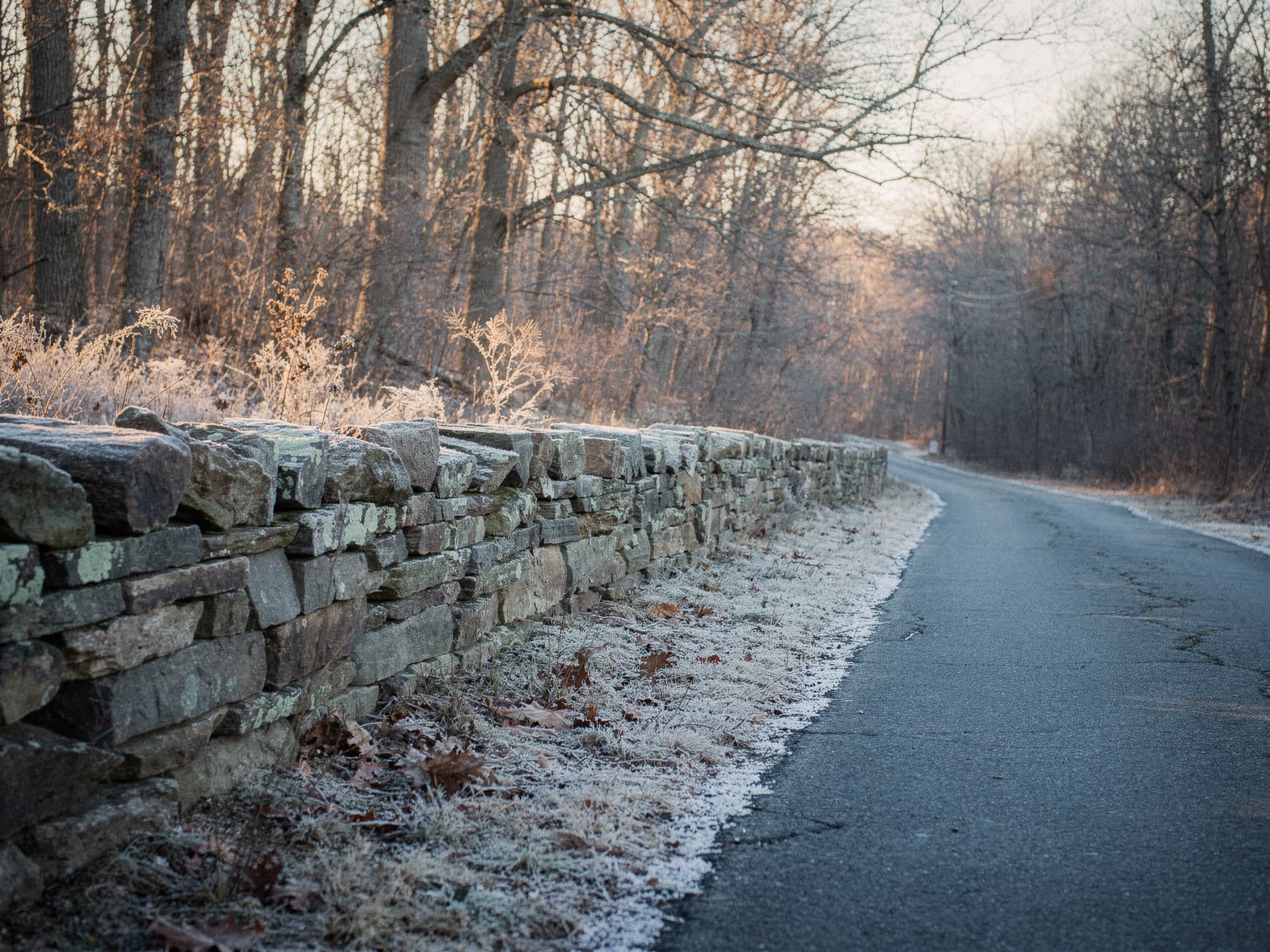 A stone wall and bare hardwoods along an Andover country lane at first light, frost on the ground.